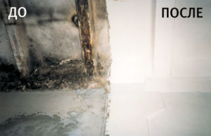 nt03