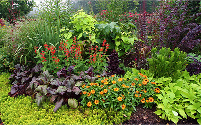 gardening
